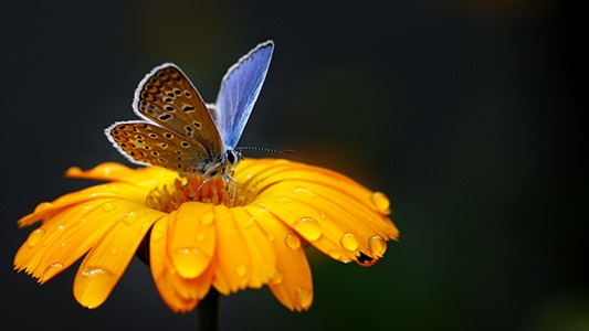 lipno-amenity-resort-zma-lipno_533x300_11